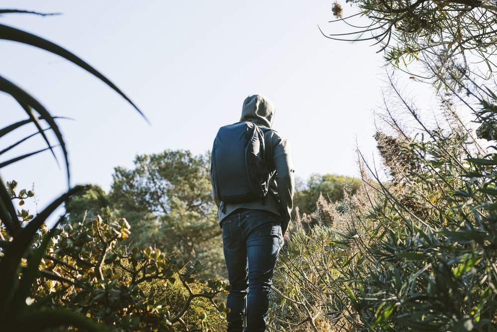 747_12.jpg